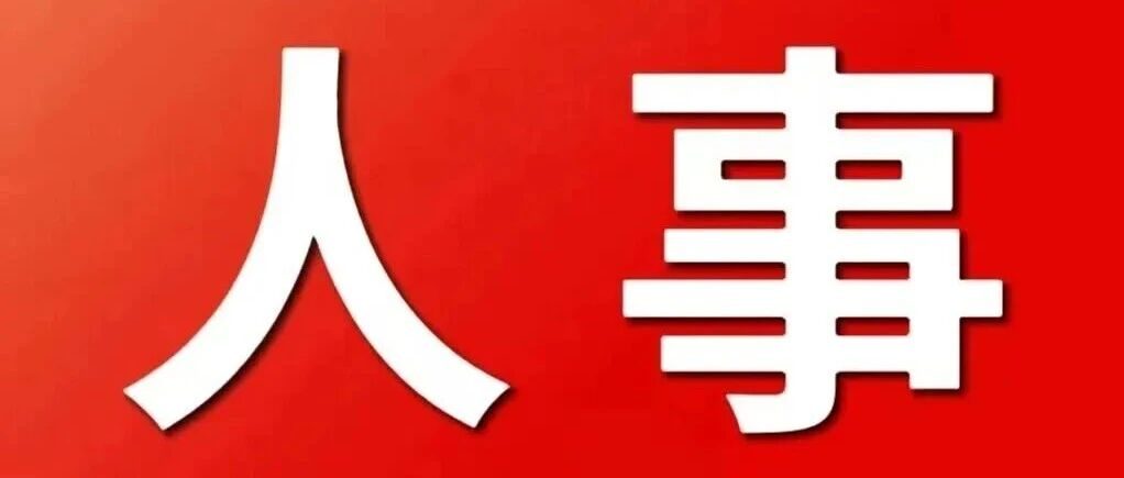 百色市人民代表大会常务委员会任免名单